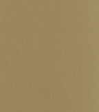 Blizzard Fleece Fabric Solids